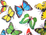 Gorgeous Butterfly Print Hair Clips (Various Colours and Designs)