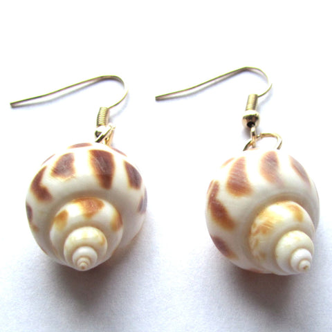 Conch Sea Shell Drop Earrings